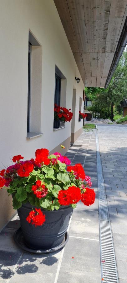Nona Bb Acomodação com café da manhã Postojna Exterior foto
